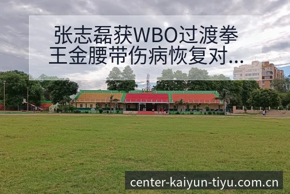 张志磊获WBO过渡拳王金腰带伤病恢复对赛程影响及排名变化 - 开云APP