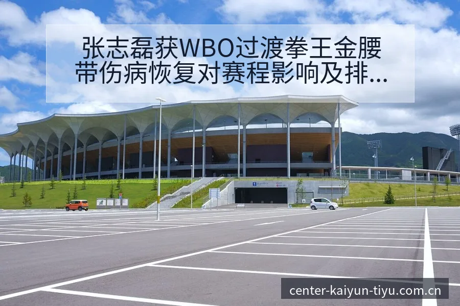 张志磊获WBO过渡拳王金腰带伤病恢复对赛程影响及排名变化 - 开云APP